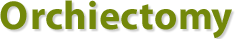 abouttext